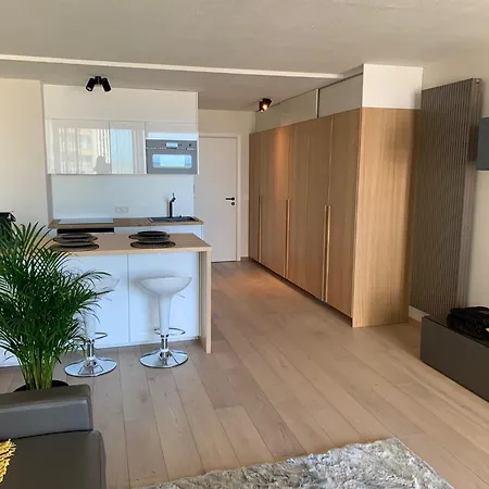 In Royal Ascot Apartment *